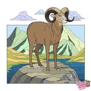 Meet your Posher, Sandy